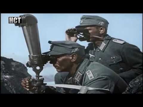 Gebirgsjäger - German mountain troops in the Caucasus 1942 (Combat Footage)