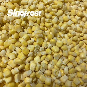 [Hot Item] Non GMO,IQF Frozen Sweet Corn Kernels,IQF Frozen Sweetcorn Kernels,IQF Frozen Super Sweetcorn Kernels,Super Sweet Corn Kernel,IQF Frozen Sweet Corn COB,Corn