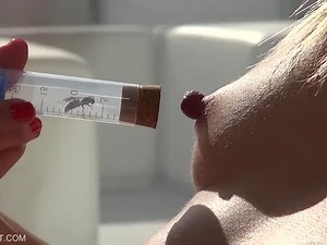 Wasp on nipple