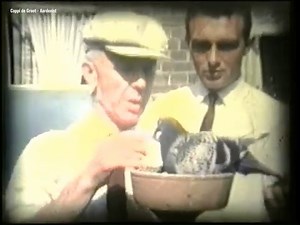 8.6K views · 198 reactions | The "Great" little fancier - Cappi de...