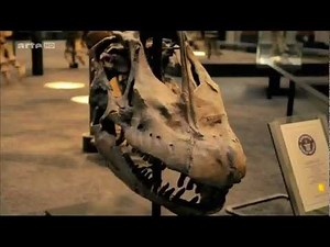Dinosaurier - Spurensuche in der Urzeit - Doku - Teil (1/4)