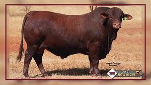 9.3K views · 144 reactions | Riverglen Wildlife has top-quality...