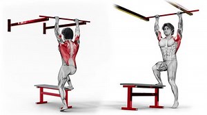 Bench Pull-ups-3d 121-anatomy Fitness Bodybuilding Distinct Stock Footage Video (100% Royalty-free) 1110720413 | Shutterstock