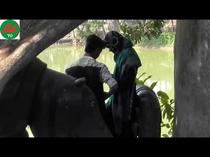 Joypurhat park pair pair Lover Couple