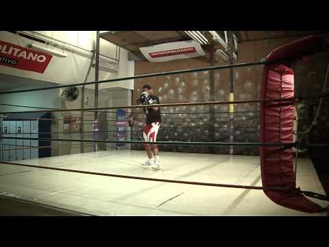 Boxeo Tutorial. Sección Técnica .Crochet de derecha y caballo. Como boxear con Jero García.