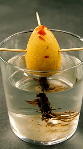 435K views · 1.3K reactions | Growing fruits & veggies from scratch 陋 | MetDaan Tips | Facebook