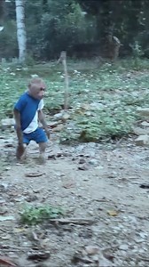 Bibi and Lala enjoy chicken breast cooked with potatoes with kittens! #bibi #monkeybibi #reelschallenge #trend #tiktok | Lala Update