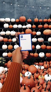 It's frickin bats! 🦇 Spend your Halloween party the right way with Never Have I Ever! #HalloweenParty #NeverHaveIEver | Never Have I Ever