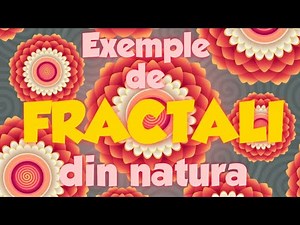 Fractalii: Exemple din Natură