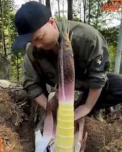 Wow! These farmers are totally amazing! | Jason Terry