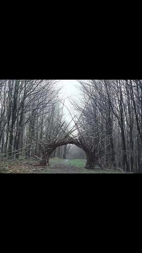Andy Goldsworthy #nature 🌲 | Kabylie environnement