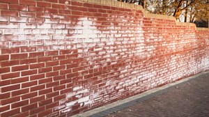 Amazon.com: RadonSeal Efflorescence Remover - Cleans Efflorescence, Mortar Haze, Lime, and Rust Stains : Tools & Home Improvement