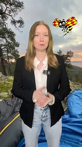 68K views · 288 reactions | Paret Emma Flodhag, 25, och Oliver Pierd, 28, i Örnsköldsvik har bestämt sig för att följa sin dröm. Naturmänniskor som vill ta sin livsstil till nästa nivå. Lösningen? Enbart bo i ett tält. Reportrar: Lovisa Dehlin och Nils Abenius Läs mer om paret och deras planer: https://www.expressen.se/nyheter/sverige/emma-och-oliver-lamnar-villan-ska-bo-i-ett-talt-i-stallet | Expressen Story | Facebook