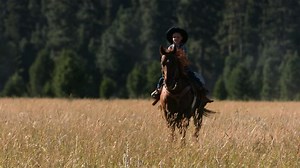 Download Young cowboy riding horse, slow motion for free