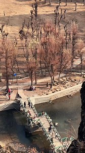 19K views · 600 reactions | Beauty of Betaab Valley Pahalgam | Explore Kashmir | Facebook