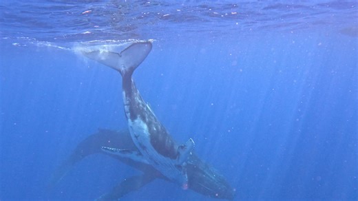 get lost Magazine on Reels