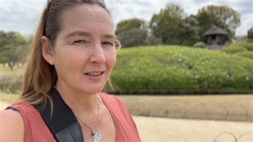 2.9K views · 148 reactions | It’s spring in Japan and you know what that means—cherry blossoms. Come for a walk with me through a garden in the city of Okayama to see spring flowers and typical Japanese gardening. | Adventures with Sarah | Facebook