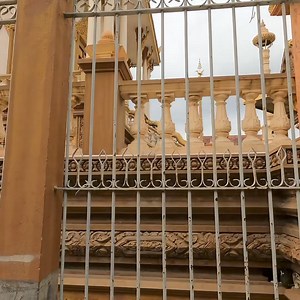 137K views · 2.5K reactions | This kitten was abandoned by humans, They are very scared | The Gohan And Cats | Facebook