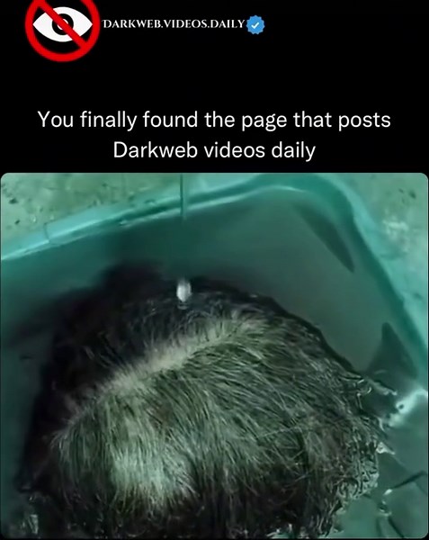 Exploring the Dark Web: Scary and Mysterious Videos