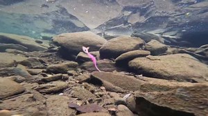 Dovesun Ice Fishing Jigs Kit, Ice Fishing Lures Glow in The Dark Ice Jigs/Soft Baits Ice Fishing Jig Heads Walleye Crappie Jigs Set 22Pcs