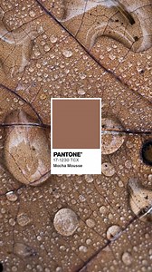 Taking inspiration from Pantone Color of the Year! ☕🍫 PANTONE 17-1230 Mocha Mousse A warm and inviting soft brown that stirs the senses, evoking the richness of cacao, chocolate, and coffee. This delectable hue is described by Pantone as comforting and indulgent 🤎 Check out our rich collection of royalty free photos and illustrations inspired by 2025 colour of the year at https://bit.ly/4eZTKBW What does this color remind you of? Share your thoughts below! 👇 #PantoneColorOfTheYear #MochaMouss