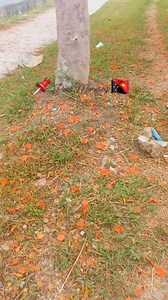 Beautiful Port Moresby  #travel #travelphotography | Elizah Maso Simon | Facebook