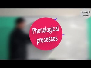 Palatalization and Labialization Processes 📚