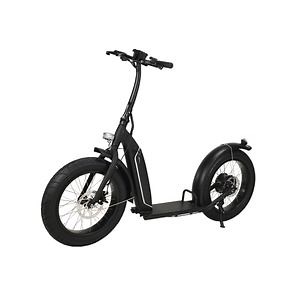 [Hot Item] New Adult Europe Model Fat Tire Folding Big Wheel Electric Scooter