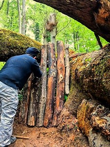 Deep in the forest, I'm building a secret shelter under a fallen tree mud plaster #wildlife #adventure #camping #diy #nature #asmr #bushcraft #survival #fblifestyle | HK Outdoors