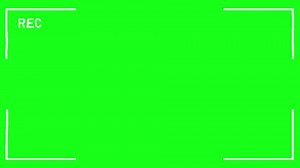 Video Marco blanco del visor de: video de stock (totalmente libre de regalías) 3982514109 | Shutterstock