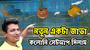 5.5K views · 348 reactions | নতুন একটা জাভা পাখির কলোনি সেটআপ দিলাম || java bird colony setup || Birds of village #javabirds #জাভা_পাখি_কলোনি #birdsofvillage | Birds Of Village | Facebook
