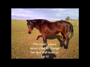 Monkees Davy Jones First Rescue Horse " Midnight Jones "