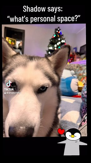 Follow us over on TikTok: SimplyCrafty1 | Simply Crafty