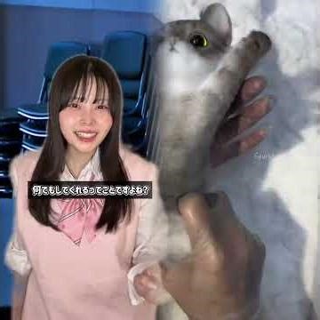 🤣👌👌👌2026 pov Must-Watch Crazy Clips Compilation #humor #fypシ #pov #fyp #foryou 😍😜