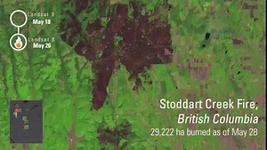 21 reactions · 15 shares | Fires in Canada 2023 | Landsat Earth...