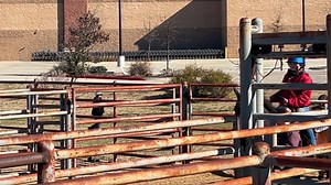 I finally took on my first rodeo playday!  From wild rides to unexpected wins, this day was full of surprises. Check out the highlights and see how it all went down! | The Wild Adventure Girls | Facebook