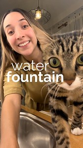 Nothing better than some fresh water for these hot summer days 💧 🛒 Check out our website to order your Stainless Steel Water Fountain | Hepper - Modern Cat Furniture