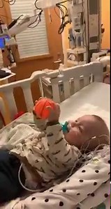 11K views · 366 reactions | Daily Video of Brecky! | Brecken’s Blessings | Facebook