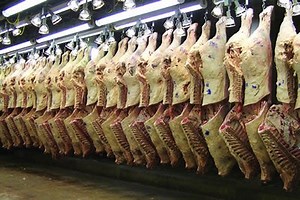 Heat Demon Snowmobile Seat Heaters.