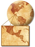 Útila Spiny-tailed Iguana - International Iguana Foundation