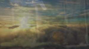 Forever loved Brenda Rosado | Beach Funeral and Cremation Services