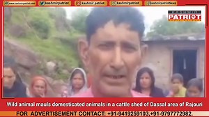 Wild animal mauls domesticated animals in a cattle shed of Dassal area of Rajouri | Kashmir Patriot | Facebook
