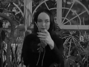 31K views · 493 reactions | Tom Lehrer: Masochism Tango | Morticia and Gomez Addams | Facebook