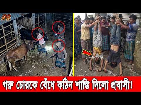 প্রবাসীকে নিঃস্ব করে সব গরু নিয়ে পালালো চোর! পরের দিন ফাঁদ পেতে চোরকে কঠিন শা’স্তি দিলো প্রবাসী!