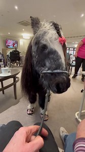We started off pretty wet and soggy, but by the end, after Poppy had spread lots of love and laughter, her hair was dry and fluffy! As was mine! 🙈 #loveislove #love #loveconquersall #poniesofinsta #horsesofig #insta #instagood @rockstarrockinghorse @carrdaymartin | Dinky Ponies