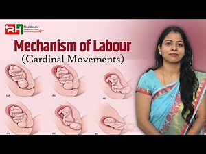 MECHANISM OF LABOUR 🤰 | CARDINAL MOVEMENTS OF LABOUR #MechanismOfLabour#CardinalMovements#Midwifery
