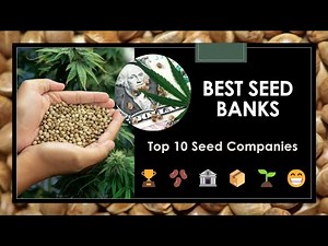 Top 10 Best Seed Banks: Buy Seeds Online