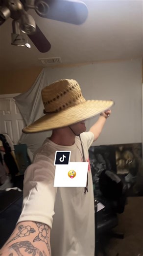 dylanpaints on TikTok