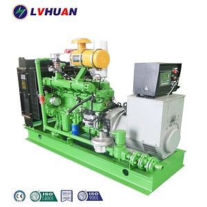 [Hot Item] 20kw Small Silent Biogas Electric Generator for Biogas Plant