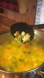 Homemade chicken and vegetable soup. | HNHC- Holistic Nutritional Health Care & Hypnotherapy